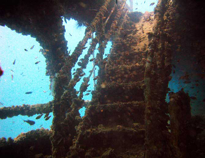 king cruise staircase
