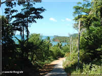 faune et flore de l'ile de Koh Chang en Thaïlande faune et flore de l'ile de Koh Chang en Thaïlande