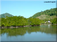 khao i aen,faune et flore sur Koh Chang en Thaïlande khao i aen,faune et flore sur Koh Chang en Thaïlande